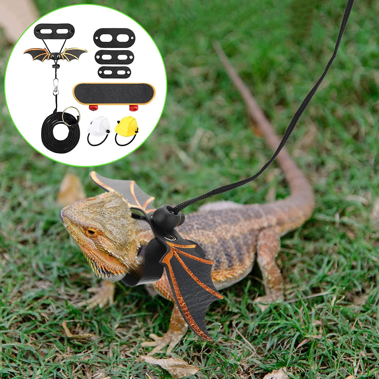 Bearded Dragon Accessory Set - 5-Piece Toy Collection with Adjustable Leashes, Harnesses (S/M/L), Mini Scooter, and Helmet (Black)