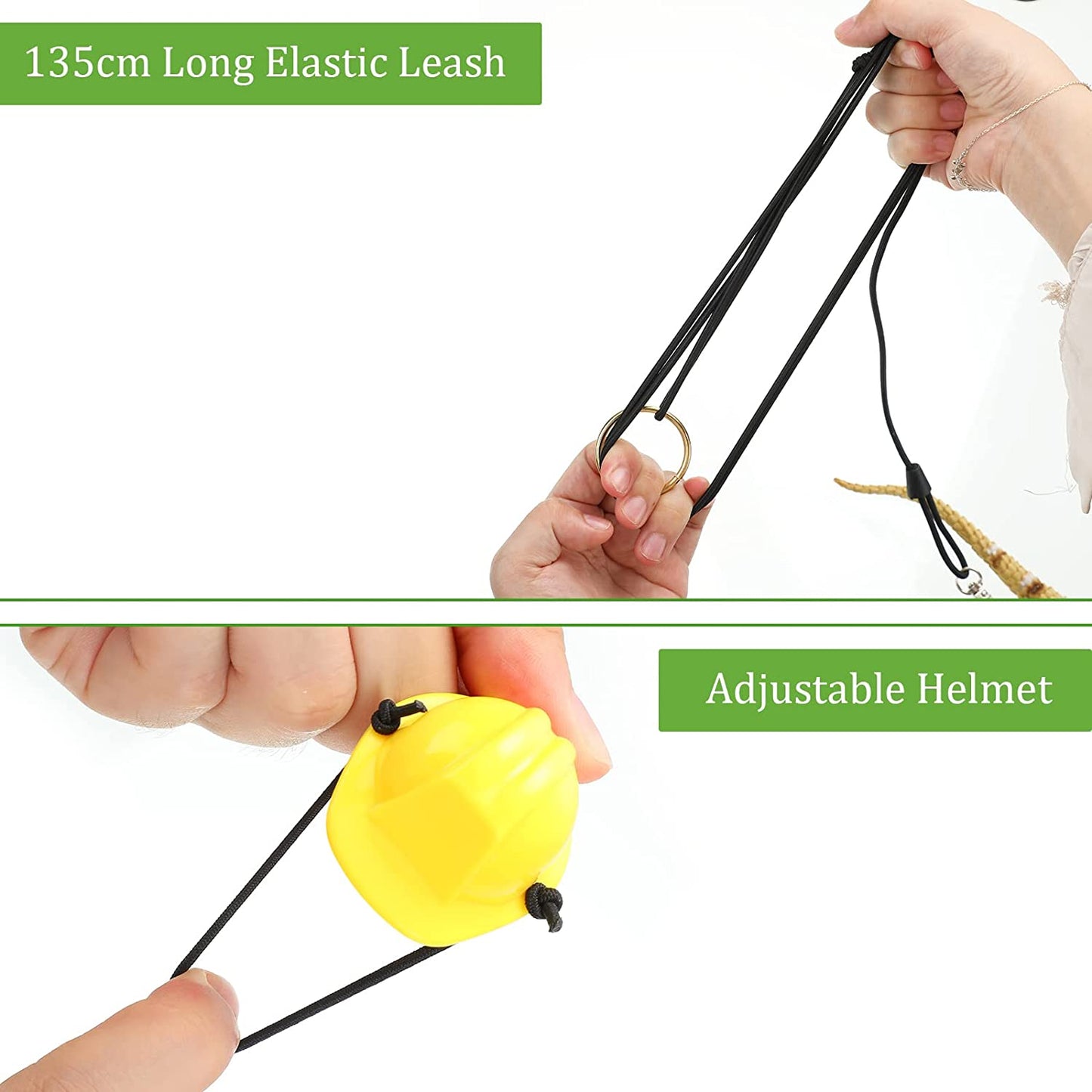 Bearded Dragon Accessory Set - 5-Piece Toy Collection with Adjustable Leashes, Harnesses (S/M/L), Mini Scooter, and Helmet (Black)